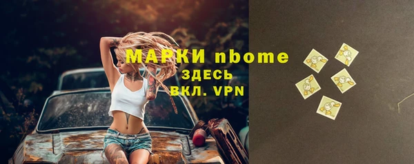стаф Богданович