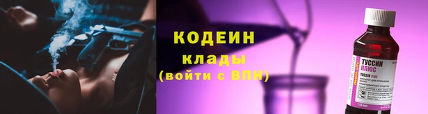 СК Няндома