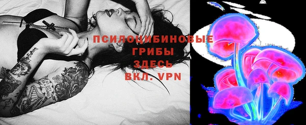 СК Няндома