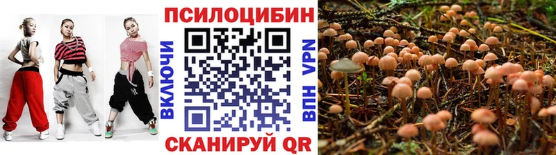 Галлюциногенные грибы Psilocybine cubensis Зеленоградск
